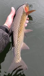 IMG_1481.jpeg IMG_1481.jpeg