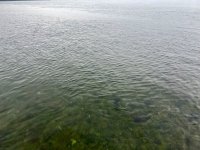 8B781F01-8EA5-4880-9C00-1A078A01AC8B.jpeg