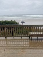 IMG_2645.jpeg