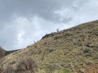 IMG_6187.jpg