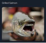 C6543847-8F30-4472-BFEA-5B0D9D642A82.jpeg