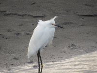 IMG_4408.JPG