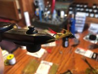 Lake Fly 1.jpg Lake Fly 1.jpg