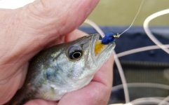20220914_microbass2.jpg