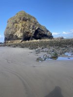 IMG_2656.jpeg IMG_2656.jpeg