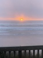 IMG_2650.jpeg IMG_2650.jpeg
