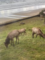 IMG_5747.jpeg IMG_5747.jpeg