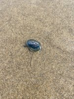IMG_2666.jpeg IMG_2666.jpeg