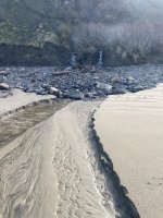 IMG_2659.jpeg IMG_2659.jpeg