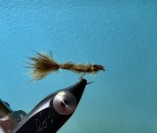 0553910F-76AA-414F-82ED-AACAAC2AD40A.jpeg 0553910F-76AA-414F-82ED-AACAAC2AD40A.jpeg