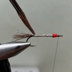 IMG_0142.jpg