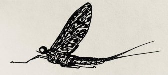 image1-1.jpg