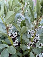 61D4C2C8-C61C-4897-B250-6D5AD9F0EF66.jpeg