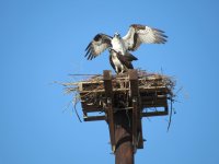 IMG_4689.JPG