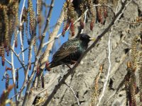 IMG_4716.JPG