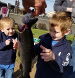 20230415_bigfish.jpg