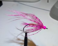 IMG_20230415_204256709.jpg