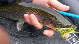 20230415_092800.jpg