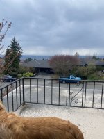 IMG_2712.jpeg
