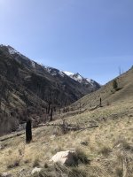 767E5DBA-53EF-4486-AA3D-9EF4B812237C.jpeg