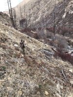 17E3E819-C860-43E9-A2D2-5362947EE73B.jpeg