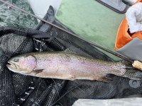 C8706677-C06F-4610-A0FC-D79CA1919D75.jpeg