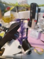 20230417_153917.jpg 20230417_153917.jpg