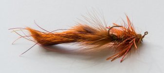 012-Bass-Fly-041623-v2.jpg
