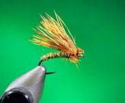 CADDIS DRY 2.jpg