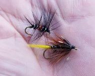 20230422_flies.jpg