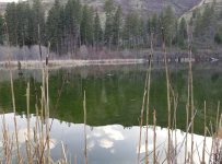 20230422_sightfishing.jpg
