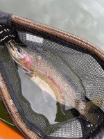 IMG_2352.jpg