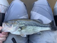 IMG_4674.jpeg