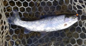 20230425_stocker.jpg 20230425_stocker.jpg
