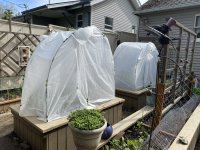 IMG_3185.jpeg