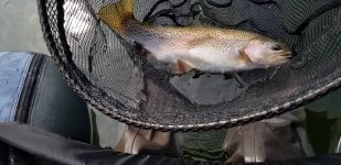 20230422_105945.jpg 20230422_105945.jpg