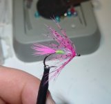 IMG_20230427_220101148.jpg