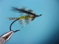 steelhead green drake.JPG