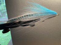 IMG_1922.jpeg