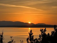 IMG_3517.jpeg