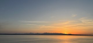 IMG_3521.jpeg