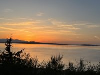 IMG_3525.jpeg