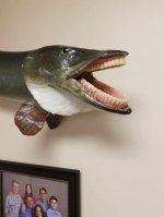IMG_3527.jpeg