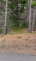 20230502_122404.jpg 20230502_122404.jpg