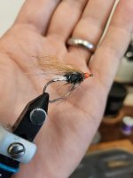 20230505_120719.jpg