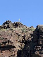 IMG_1467.jpeg