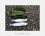 IMG_1879.jpeg