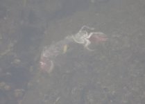 IMG_3559.jpeg