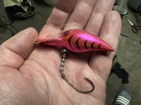 IMG_3533.jpeg