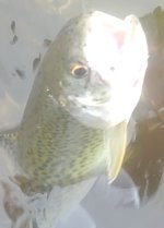 IMG_20230505_114541015.jpg